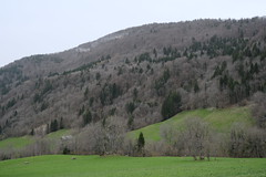Montagne de Lachat @ Dingy-Saint-Clair - Photo of Évires