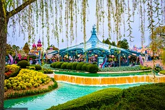 Disneyland Park - Fantasyland - Mad Hatter-s Tea Cups - Photo of Montévrain