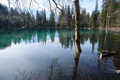Lac Vert @ Passy