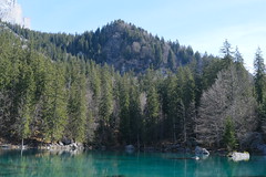 Lac Vert @ Passy - Photo of Domancy
