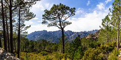 Panorama du chainon Sud du Velaco, face Nord - Photo of Zonza