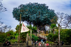Disneyland Park - Adventureland - La Cabane des Robinson - Photo of Bussy-Saint-Martin