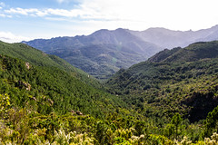 La vallée du Niffru - Photo of Lecci
