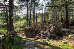 Les bergeries ruinées de Capeddu - Photo of Zonza