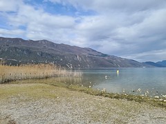 8 llac bourget - Photo of Ontex