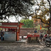 Selling food // New Delhi India