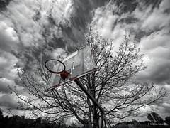 Basket soviétique - Photo of Hervelinghen