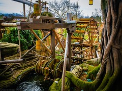 Disneyland Park - Adventureland - La Cabane des Robinson - Photo of Lesches