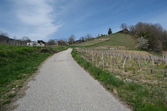 Porte-de-Savoie