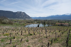 Lac de Saint-André @ Porte-de-Savoie - Photo of La Croix-de-la-Rochette