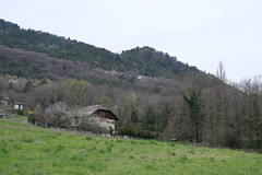 Saint-Baldoph - Photo of Laissaud