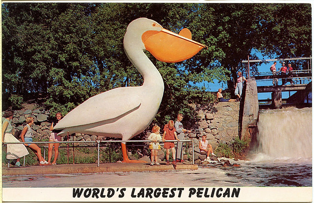 Pelican Rapids