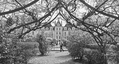 Cheverny - Photo of Fontaines-en-Sologne