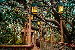 Disneyland Park - Adventureland - La Cabane des Robinson - Photo of Chalifert