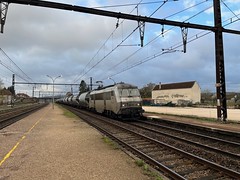 SNCF BB26000 electric locomotive passes Nuits-sous-Ravières with a freight train