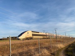 Two grimy TGV Duplex head north on LGV Sud Est near Châtel-Gérard, Bourgogne - Photo of Pisy