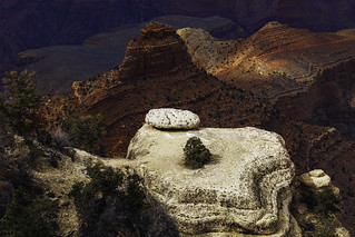 firm foundation - Yaki Point - Grand Canyon National Park - 3-06-24  01