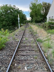The Volgelsheim - Colmar line, section used by freight - Photo of Appenwihr