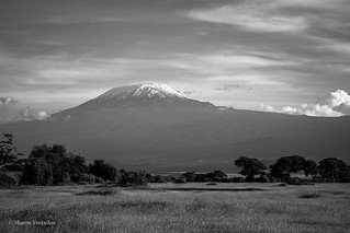 Kilimanjaro View from Amboseli, Kenya