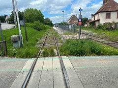 Soultz-sous-Forêts station - Photo of Kutzenhausen