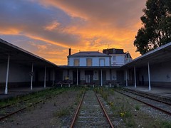 Roscoff station - abandoned