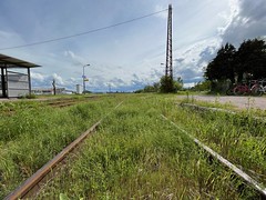 Grassy tracks at Lauterbourg - Photo of Oberlauterbach