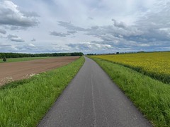 Cycle path on former railway line towards Lauterbourg - Photo of Buhl