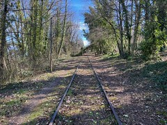 Abandoned tracks between Évian-les-Bains and St Gingolph - Photo of La Vernaz
