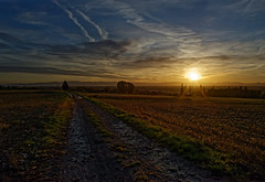 Country morning - Photo of Dingsheim