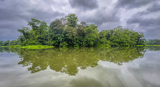 Cloudy Day in the Rainforest @ Tortuguero National Park, Costa Rica-4637