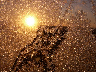 the morning sun was visiting front door frost