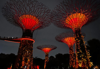 Supertree Grove at Gardens by the Bay Light Show, Singapore