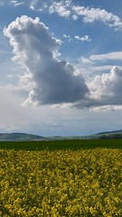 20240417_164442 - Photo of Rouilly-Saint-Loup