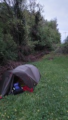 Tent in weide met wildkamperen