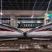 Coupled trains at Shanghai raiway station