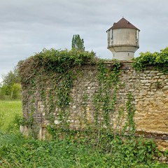 Watertoren boven begroeide muur