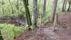 Loopbrug in bos