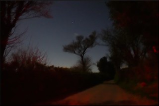 lane by moonlight
