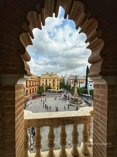View From Seville Cathedral