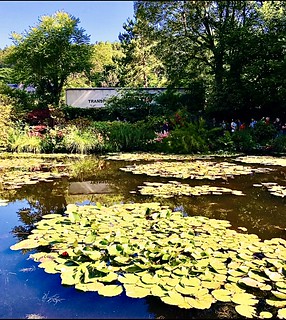 Happy Earth Day‼️Claude Monet’s lily pond at his home in Giverny, France.