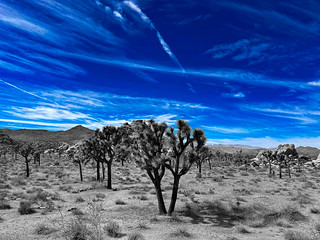 Blue Heavens Over a Desert Earth