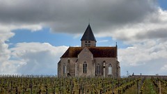 Kerk Prehy boven druivenvelden
