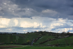 Vineyards near Erpeldange