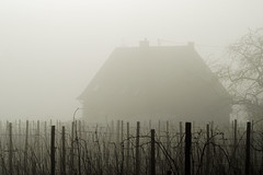 Misty house