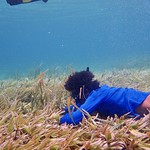 Patricio (BVTL partner) sampling canopy height of seagrass in Beloi, Atauro Island, Timor-Leste