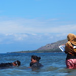 Timor-Leste Seagrass Mapping