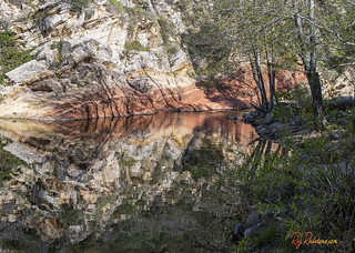 Red Rock Reflection On Oak Creek In Sedona Arizona