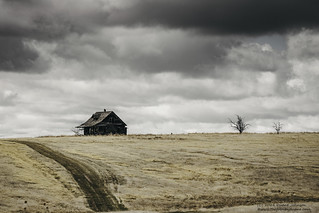 Abandoned on the Plains