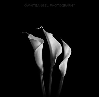 'I don't play anymore'. Candlelit Light Painting (Monochrome rev.) by #WhiteANGEL