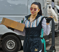 La jeune femme au perroquet